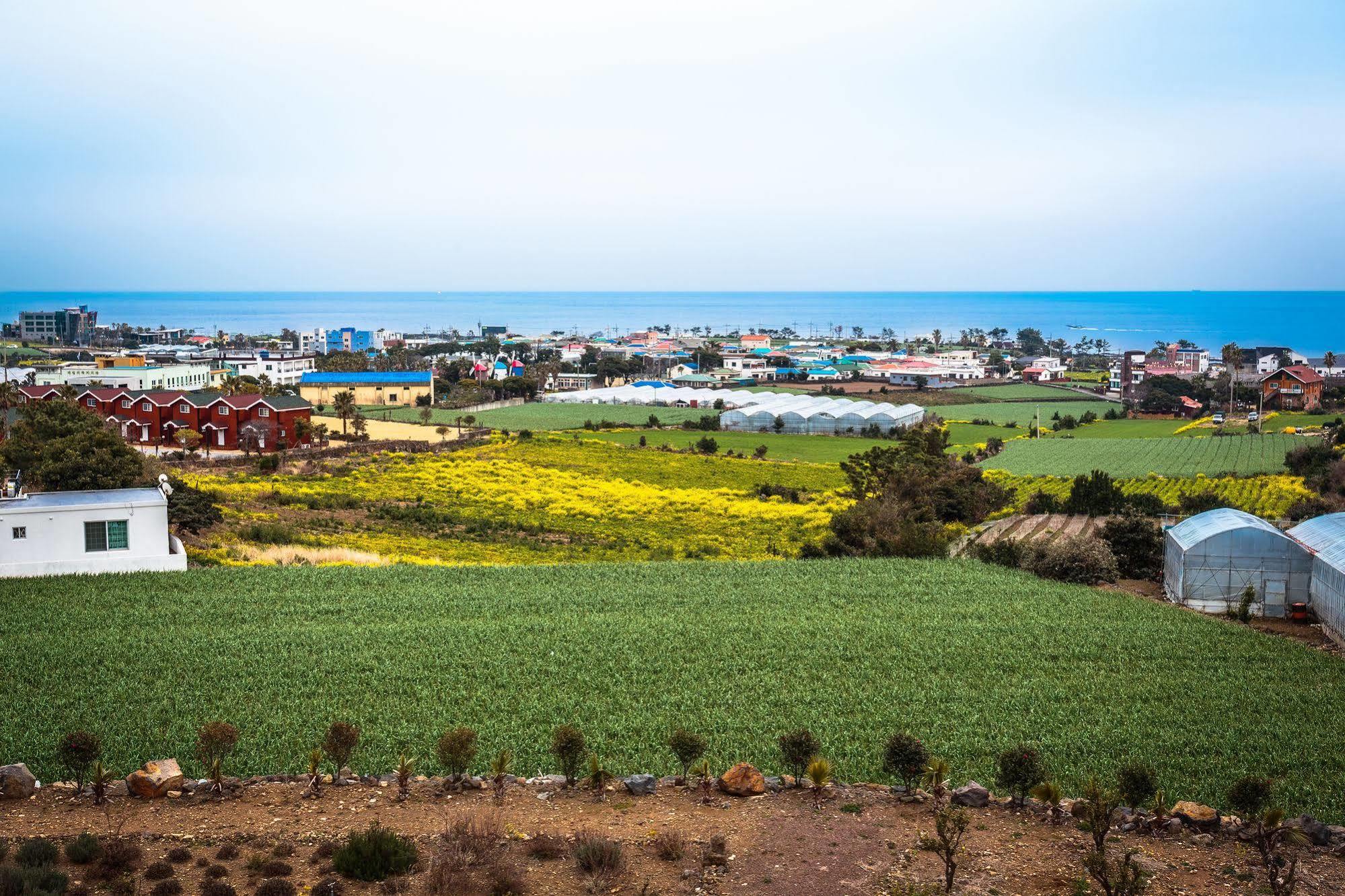 Villa Iro Jeju Yerye-dong Exterior foto